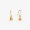 Vanessa Bruno Earrings- Jewelry